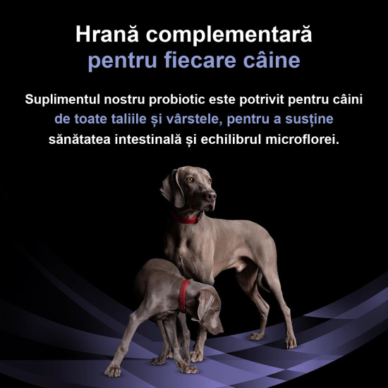 Purina Pro Plan Canine FortiFlora – Supliment Probiotic pentru Câini – 30 Plicuri